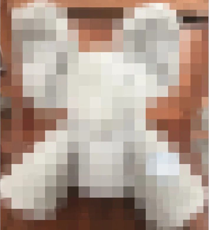 2024 New Hide-and-seek Elephant Plush Toy Baby Hide-and-seek Game Toy Singing Interactive Musical Toys Gifts