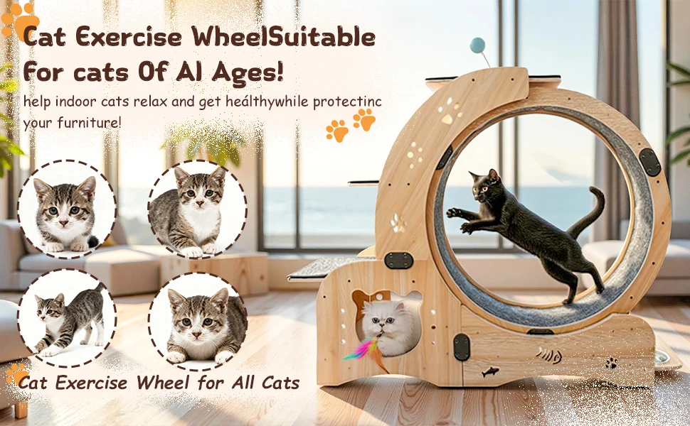 cat Wheel