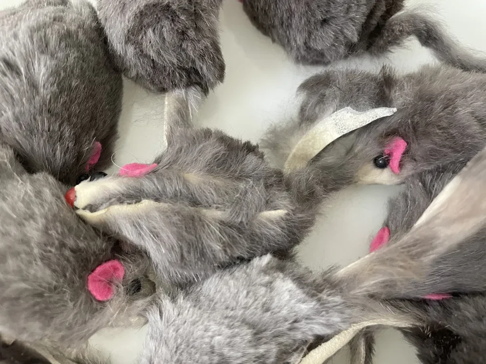 Plush Simulation Mouse Interactive Cat Pet Catnip Teasing Interactive Toy for Kitten Gifts Supplies 10Pcs cat interactive toy cat teaser toy cat toys plush mouse toy plush toy cat plush mouse toy pet toys