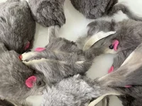 10Pcs Plush Simulation Mouse Interactive Cat Pet Catnip Teasing Interactive Toy for Kitten Gifts Supplies 3