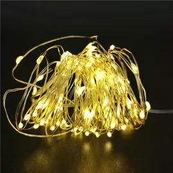 LED Fairy Lights - Copper Wire Garland String Lights for Outdoor & Indoor Decor (Warm Light)