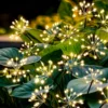 60led