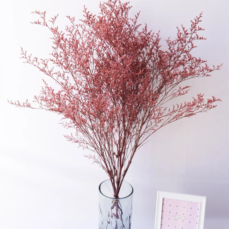 Mini bouquet de feuilles d'eucalyptus séchées, vraie fleur éternelle,  guirxiété de bricolage, décoration de la maison, fête de mariage, aide à la  nature, 15-35cm - AliExpress