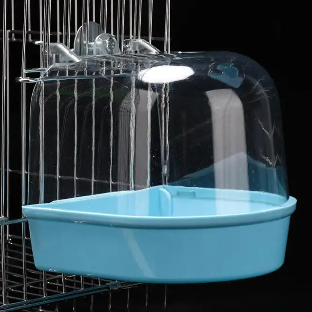Bird Bath 6