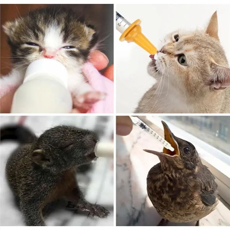 BSEVB-Kit per l'alimentazione con biberon per animali domestici, cuccioli e gattini neonati, con capezzoli, set per l'alimentazione manuale per cani, gatti, conigli - immagine 3