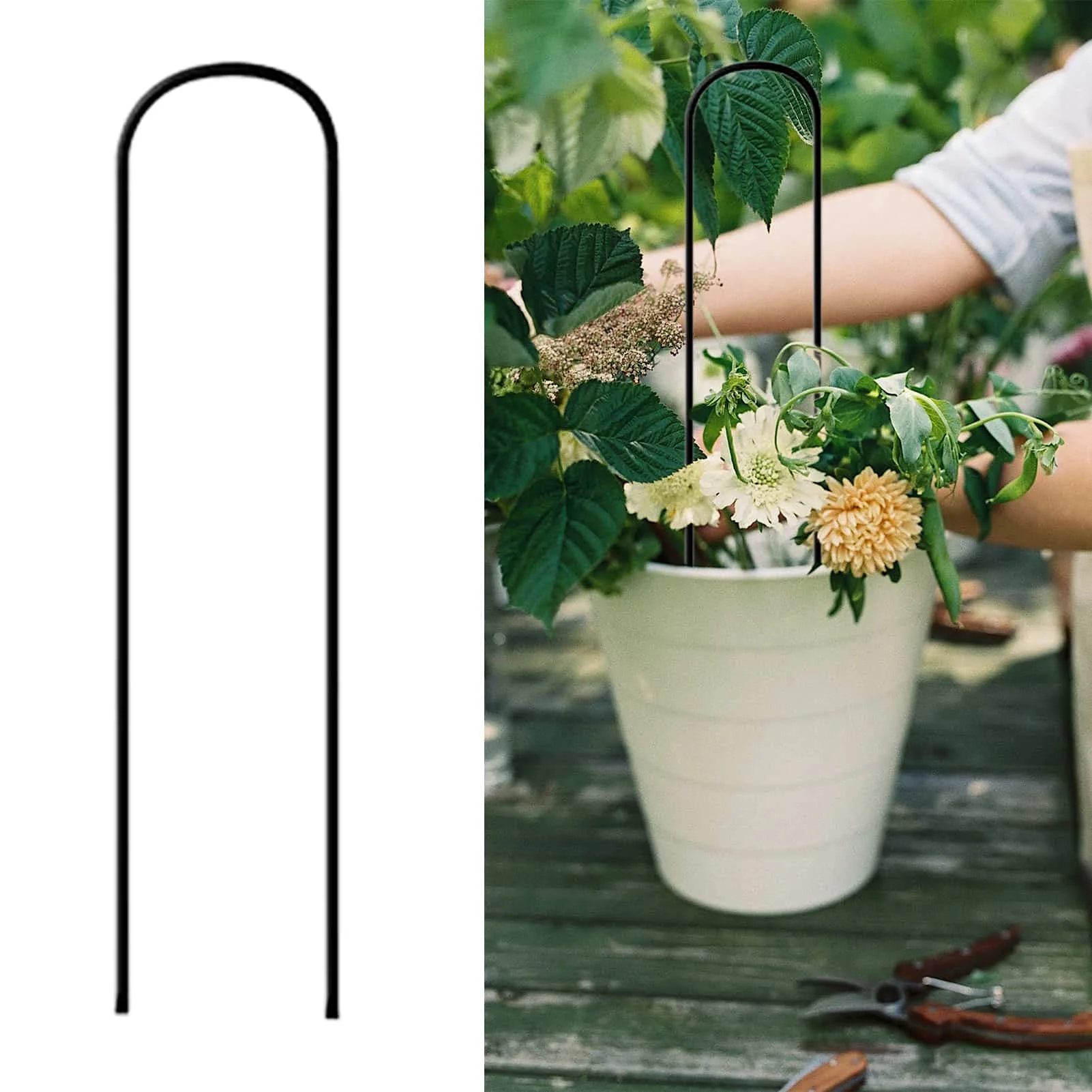 Traliccio Per Piante Rampicanti - 3 Pezzi, In Ferro Antiruggine, Per Vasi E Giardino - Foto 9