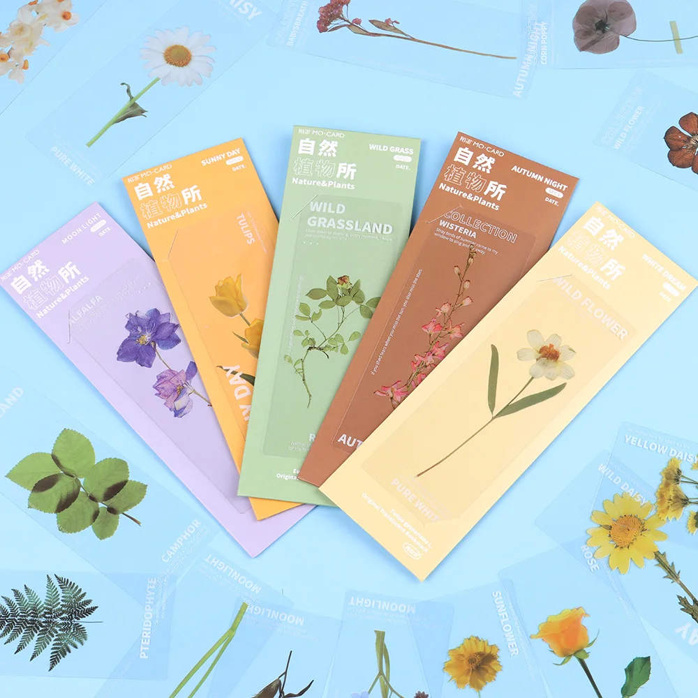 Nature Plants Bookmarks PET Translucent Flower Specimen Bookmarks Leaf Vein Book Note Marker Card Book Marker 5Pcs/Set floral painting bookmark,bookmarks stationery supplies,retro flower bookmark