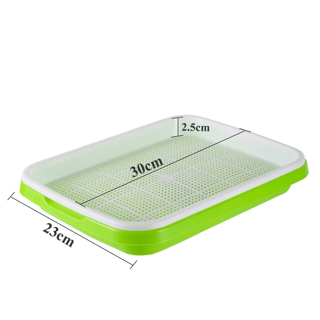 Type 1