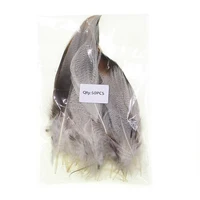 Natural Barred Mallard Duck Flank Feathers 50PCS/Bag 6