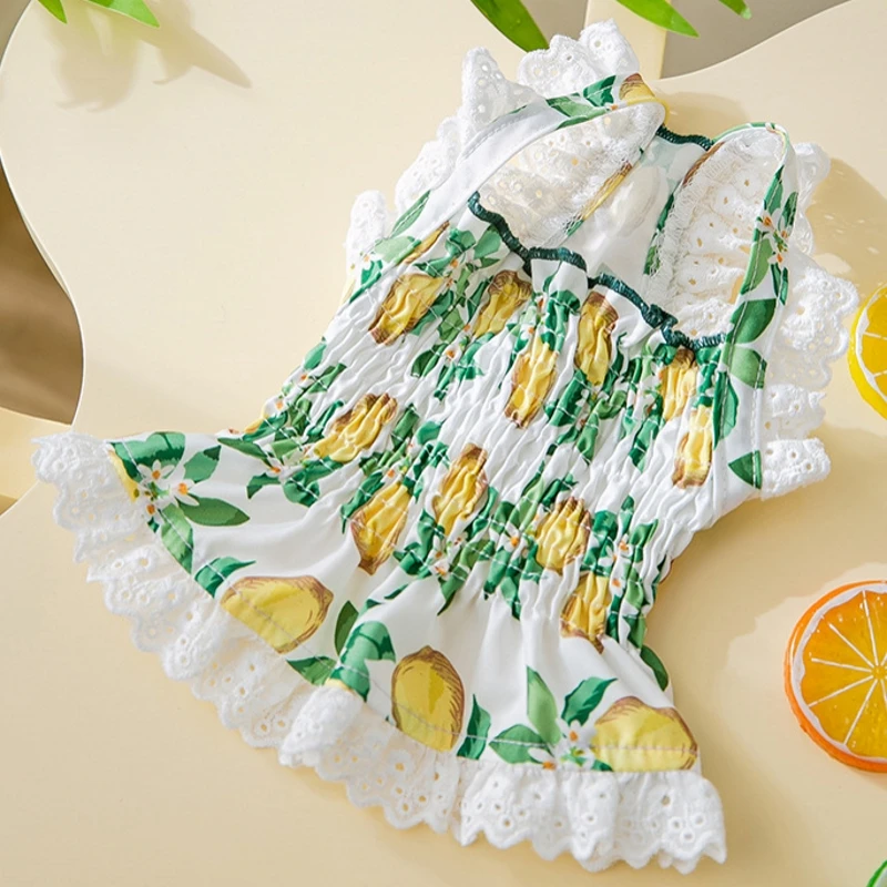 Cartoni Animati T-shirt Cane Di Piccola Taglia Gilet Morbido - Foto 7