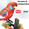 Electronic Pet Birds Toys Electric Voice-Controlled Induction Bird Simulation Parrot Can Fly Talk Birdcage Toy Kid Birthday Gift 1