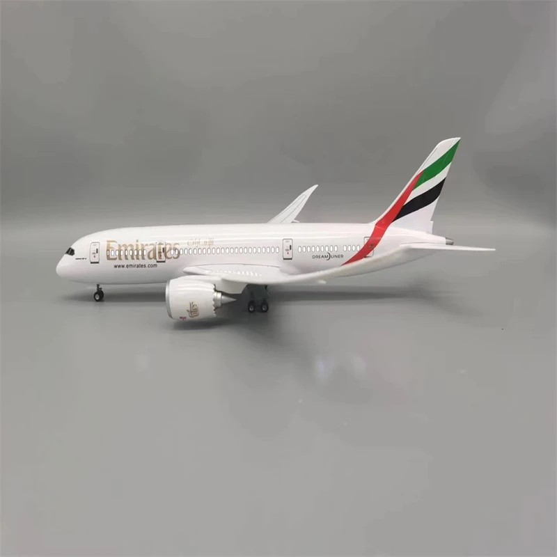 

Модель самолета в масштабе 1:130, 43 см, B787