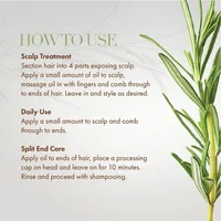 Huile essentielle pour la croissance des cheveux, soin nourrissant pour chevelure sèche, à base de romarin et menthe, traitement pour pointes fourchues 5