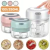 Multifunctional Electric Garlic Chopper 100/250mL Portable Vegetable Grinder Onion Mixer Mashing Machine for Kitchen 2