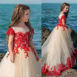 Image for Flower Girls Dress Lace Appliques Tulle Sleeveless 