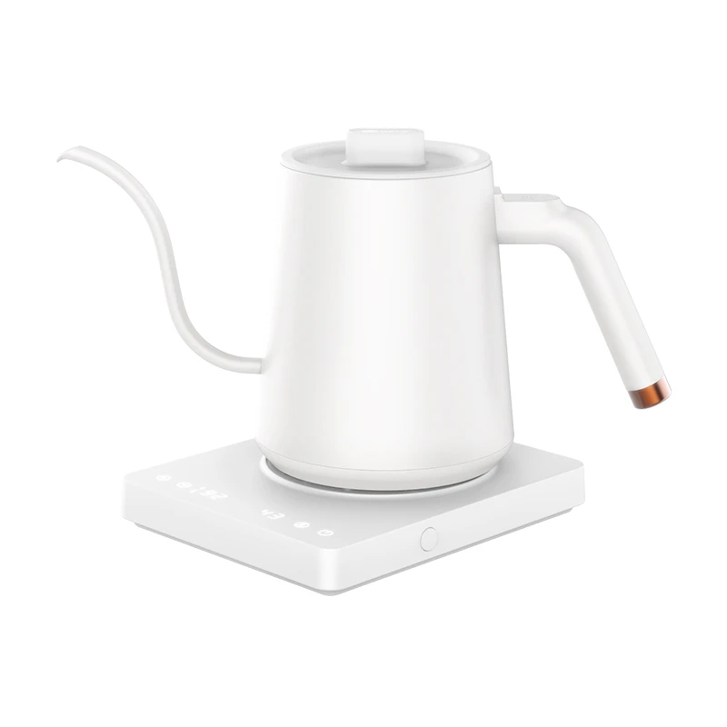 How to Set Up an Electric Kettle With Smart Plug [Guide]