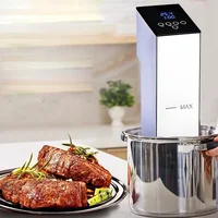 Gourmet Cuisine Low Temperature Slow Cooker Water Circulation Vacuum Cooking Appliances Cooking Water Bath 2