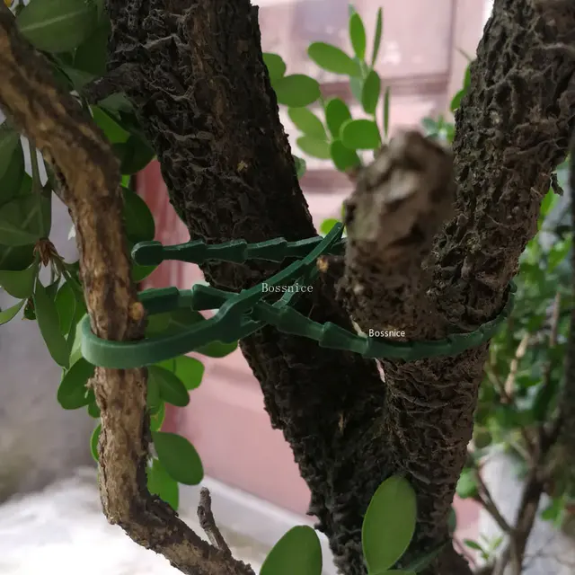 30 Darabos Műanyag Növénykötegek Újrahasznosítható Rögzítőelem Üvegházhatású Készlet A Kerti Fa Paradicsom Szőlőhöz Mászó Klip - Image 3