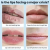 Moisturizing Lip Balm Vitamin E Lip Balm Women's Lipstick Primer Moisturizing Anti-crack Moisturizing Lip Balm 3