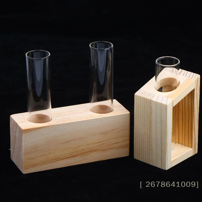 Elegant Glass Test Tube Vase with Wooden Stand for Plant Propagation and Home Decor
