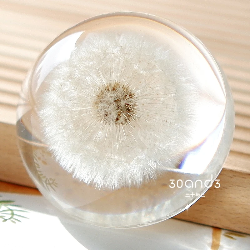 

2093 Plant Dried Flower Leaf Specimen Nature Popular Science Desktop Decoration Education Friend Birthday Gift Drip Glue Crystal