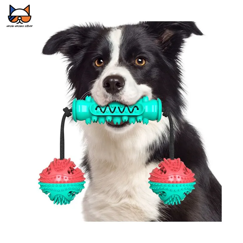 Meows Dog Chew Toys Grind Teeth Food Dispensing Keep Dental Health