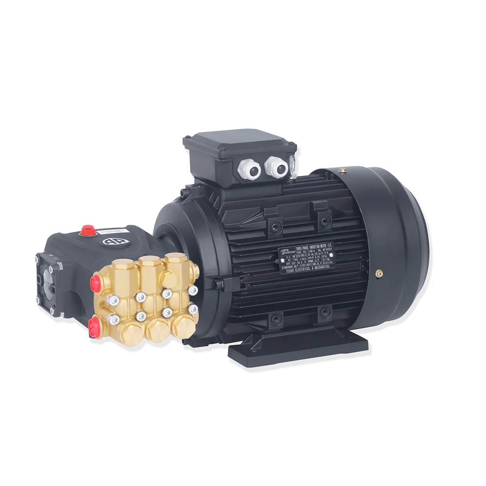 

Electric Car Washer Parts High Pressure Pump Cleaning Machine OEM 7.5kw PISTON PUMP CE 1 YEAR 200bar(2900psi),high Pressure