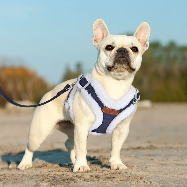 Winter Warm Dog Harness Leash Set Soft Fur Padded Dogs Vest Harness With Lead Leash Adjustable for Small Medium large Dogs Cats 5