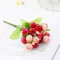 Spring Rose