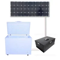 200L300L400L500L600LSingle door,Double Doors 12v Dc Deep Freezer Work With Solar Panel And Battery Solar Refrigerator 1