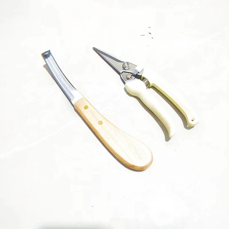 Horse hoof repair tool set, shearing sheep hoof and cow hoof 4