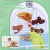 1pc Acrylic Interactive Parrot Toy Rotating Treat Dispenser for Pet Parrot Bird Cage Decoration Mental Stimulation Entertainment 5