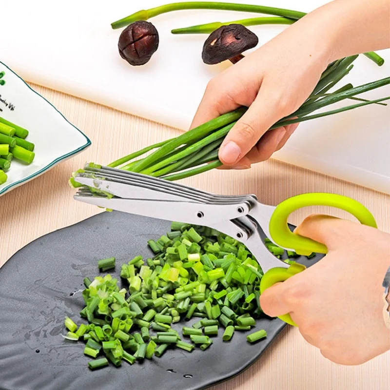 Multifunction 5 Blade Vegetable Stainless Steel Herbs Scissor with Blade  Comb (Color May Vary)