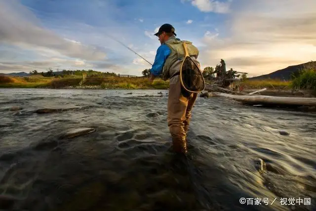 China DENPAL Fishing Tackle Store