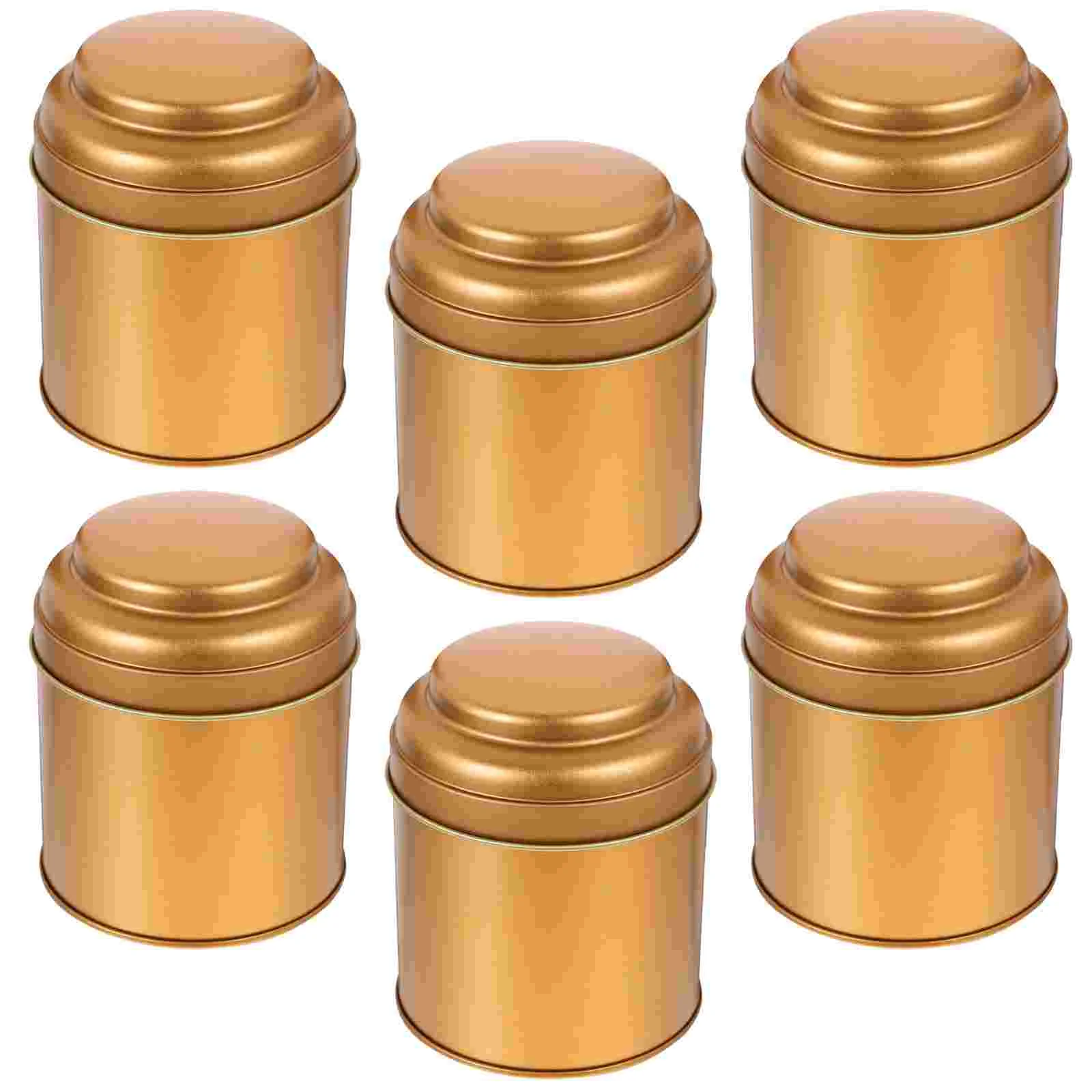 

6pcs Double Lids Tea Tin Canister Reusable Tinplate Storage Canister Kitchen Small Tea Tin Candy Jar