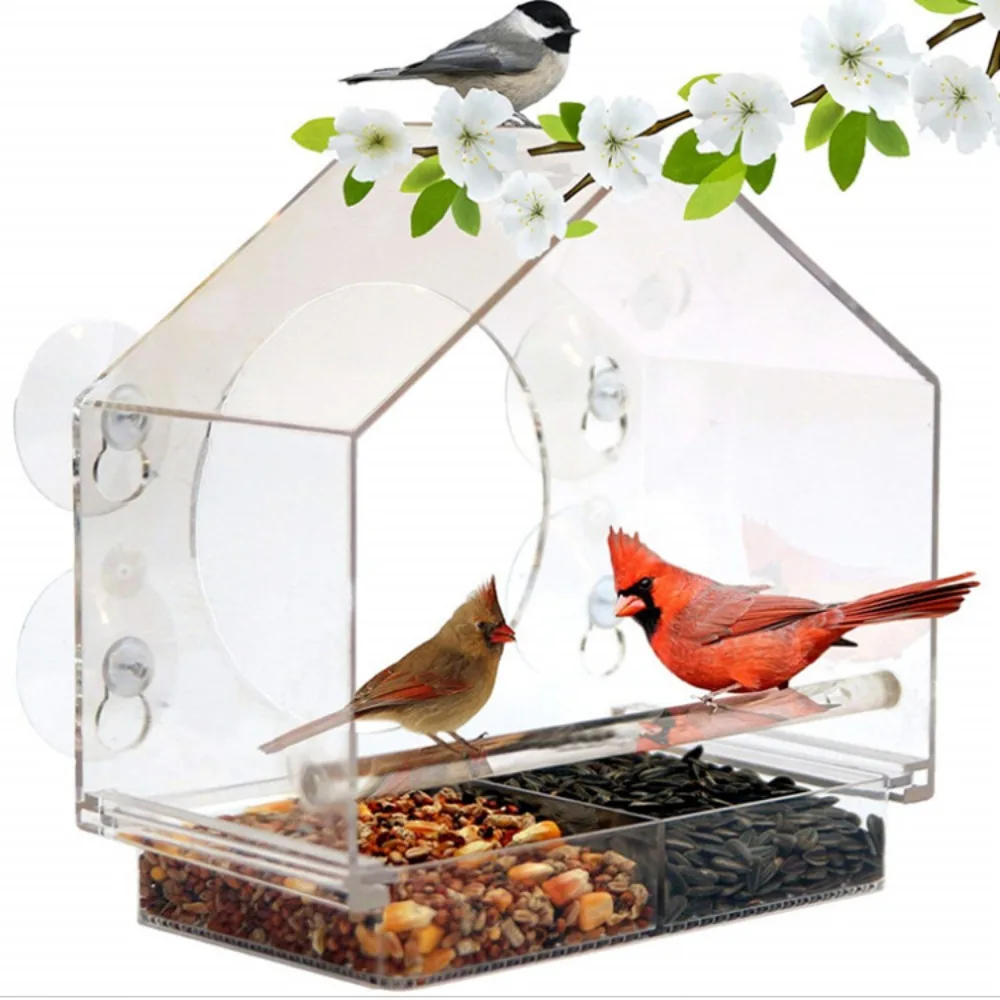 Acrylic Clear Food Feeding House Table Seed Peanut Suction Cup Glass Window Birds Hanging Feeder Birdhouse bird feeder