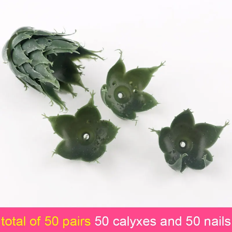 Receptacle Of A Flower