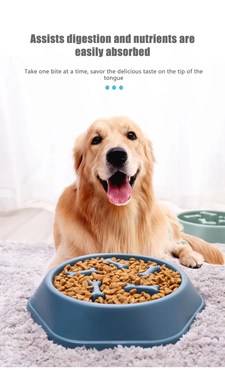 Title 6, Pet Slow Food Bowl Anti-choking Feeder Plastic ...
