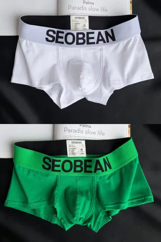 Mens Underwear Boxers Fashion printed Men Underpants Boxer Shorts Moda –  gaypridehub