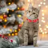 Christmas Dog Bow Tie Collar Holiday Pet Accessory with Bowknot Perfect for Dogs Ideal for Christmas and Special Celebrations 5