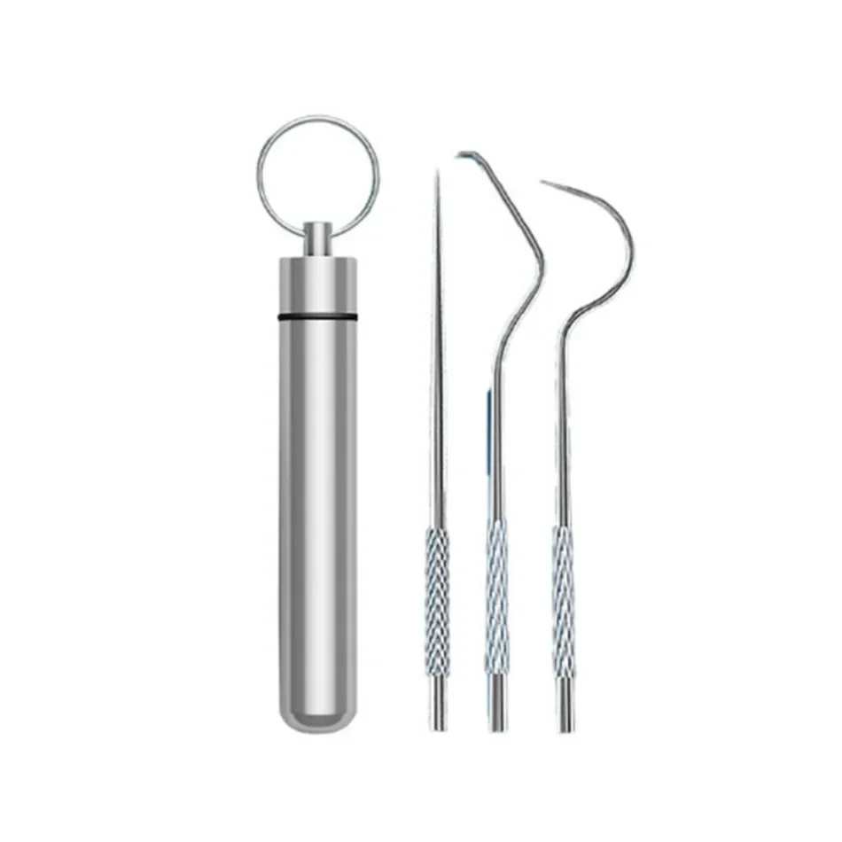 

3 Pcs Portable Stainless Steel Metal Toothpick Bag Set Reusable Environmental Protection with Holders for Outdoor Picnic Camp