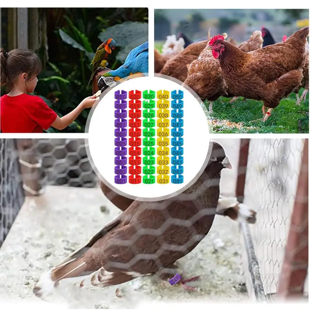 Description Picture 5 of item1.6cm 01~50 Chicken Foot Ring Turkeys Quail Foot Ring Easy Install & Remove Manually Poultry Carry Foot Ring 50/100 Pcs
