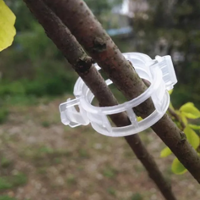 Műanyag Növényi Klipek Támogatók Összekapcsolják Az Újrafelhasználható Védelem Oltó Rögzítő Szerszám Kertészeti Készleteket A Zöldség Paradicsomhoz - Image 3