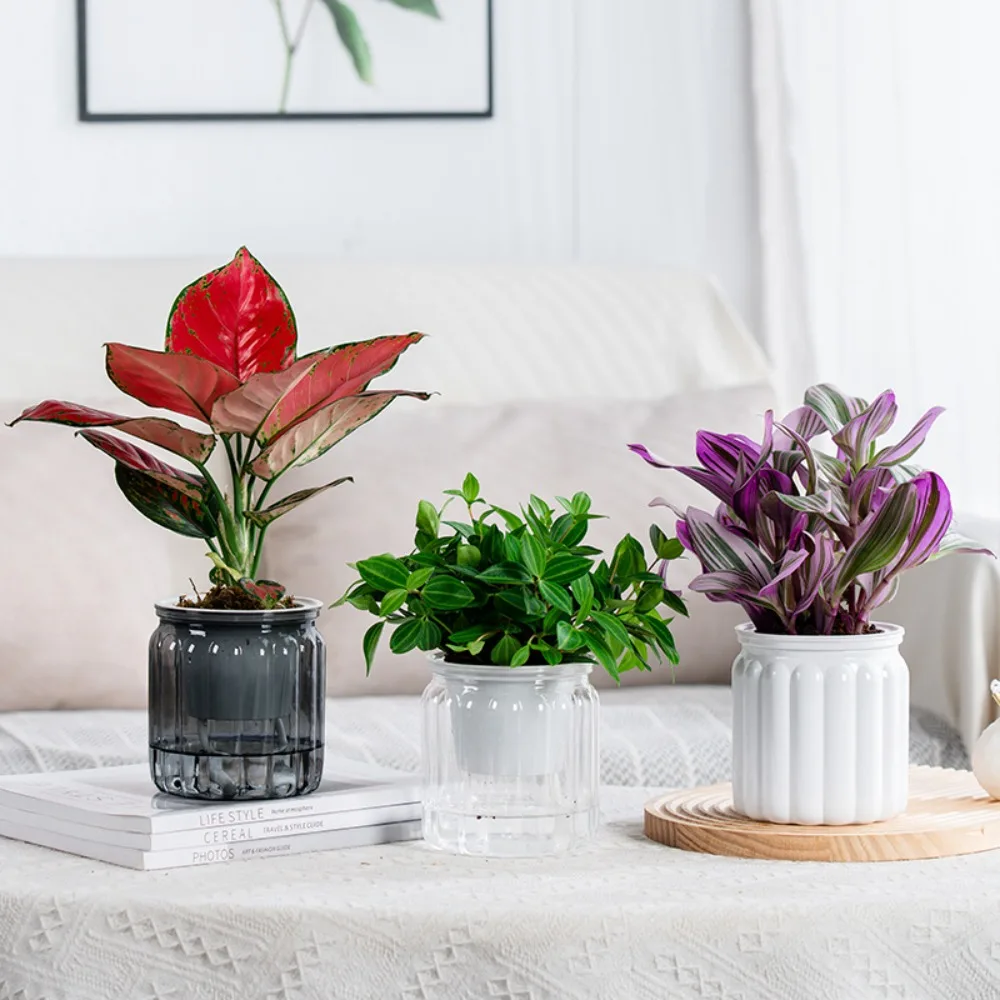 Indoor Mini Self-Watering Succulent Planter Vase - Stylish Home & Office Decor