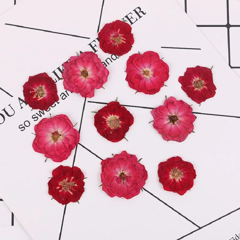 

120 шт. прессованный высушенный цветок розы наполнитель для эпоксидной смолы кулон ожерелье ювелирные изделия рукоделие DIY аксессуары