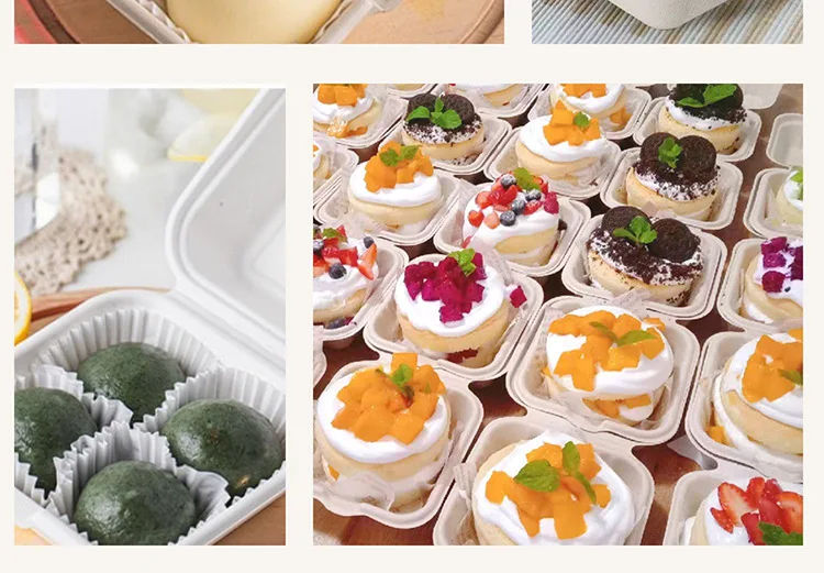 20/10pcs Disposable Bento Food Containers, Biodegradable Sugarcane & Wheat Straw Lu... - SKU DBFC2223 - UGI Packaging