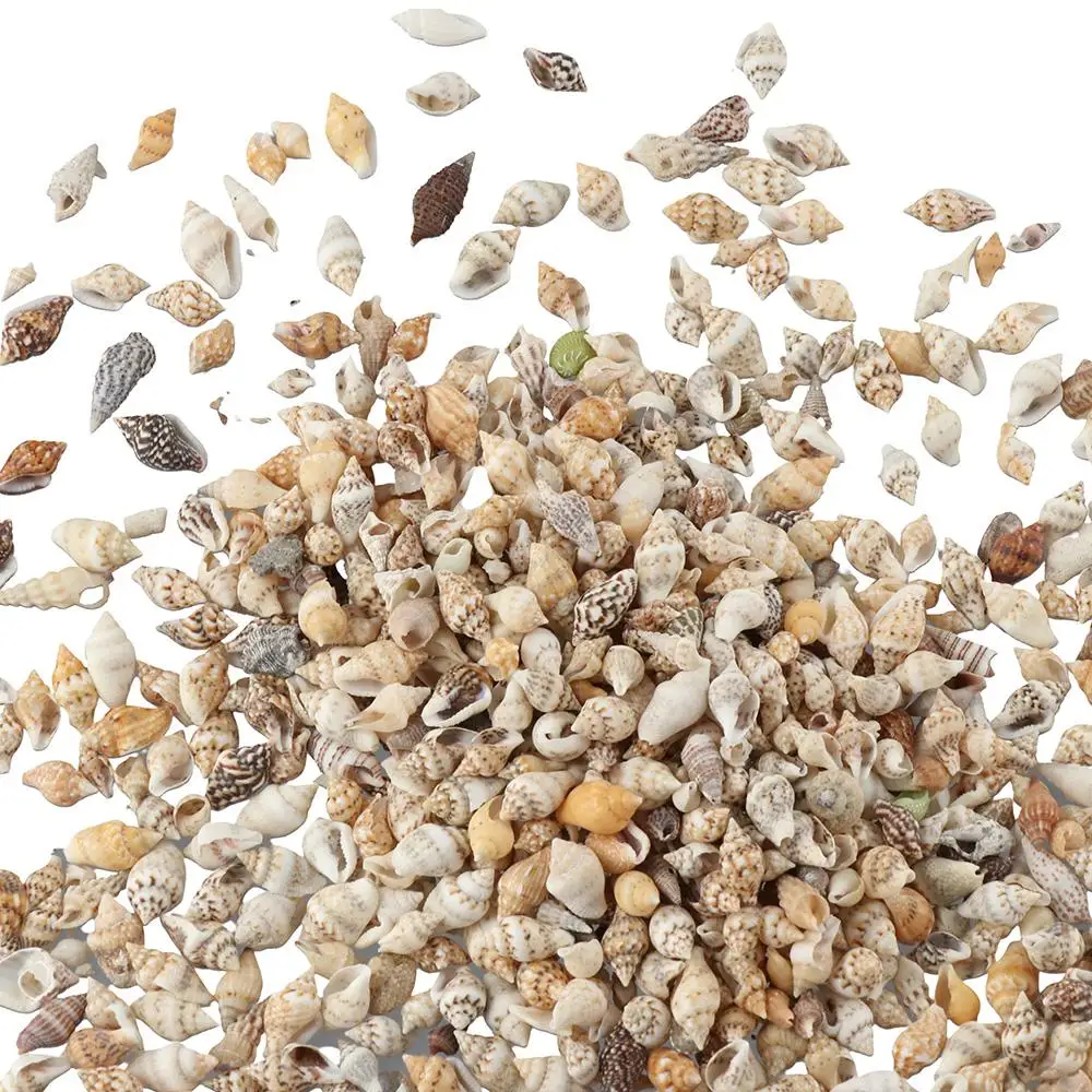 Natural Shell Ornaments 1500 PCS Mini Sea Shells Mixed Ocean Small Beach Spiral Seashells Craft Charms Seashells Decorations for DIY Crafts Fish Tank