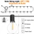 15M25Bulbs