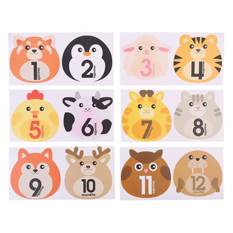 

12 PCS Newborn Monthly Milestone Stickers Boho Stickers Photographic Props N1HB