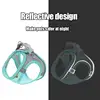 MADDEN Dog Cat Harness Vest Chest Rope Set Reflective Breathable Adjustable Pet Harness for Small Medium Dogs Outdoor Walking 2